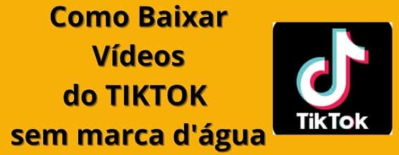 Snaptik para baixar vídeo TikTok na prática